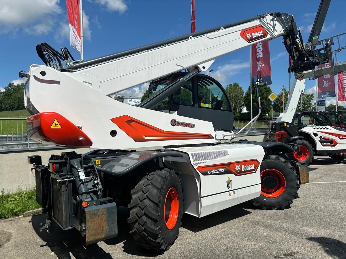 Teleskoplader van het type Bobcat Bobcat TR60.250, Gebrauchtmaschine in Wallern (Foto 4)