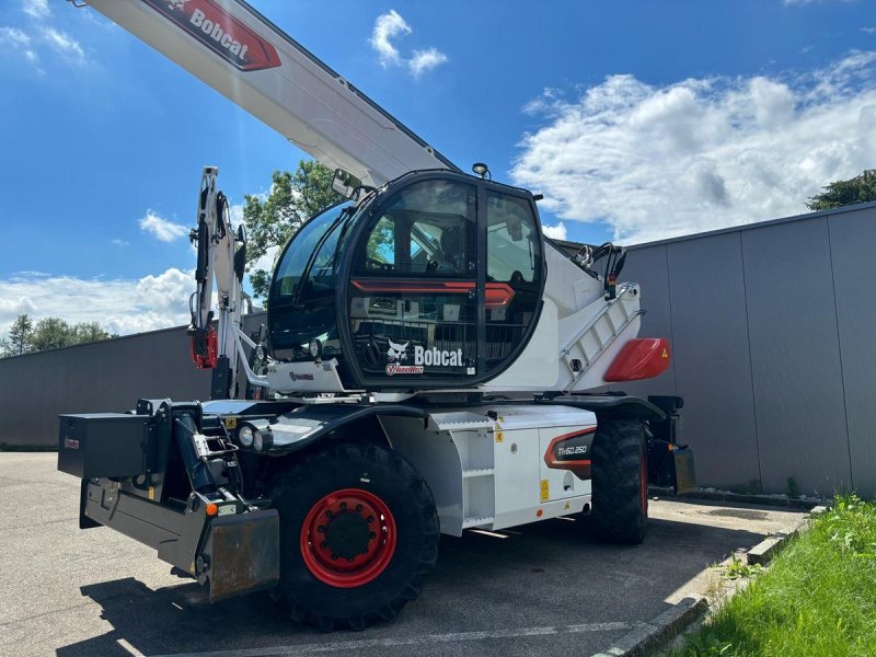 Teleskoplader typu Bobcat Bobcat TR60.250, Gebrauchtmaschine v Wallern (Obrázek 1)