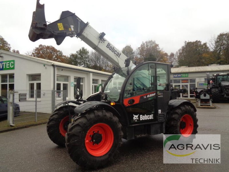 Teleskoplader van het type Bobcat TL43.80 HF AGRI, Gebrauchtmaschine in Nartum (Foto 1)