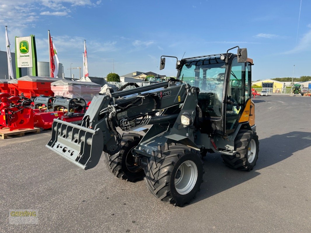 Teleskoplader des Typs GiANT V5003 Telle, Gebrauchtmaschine in Euskirchen (Bild 8)