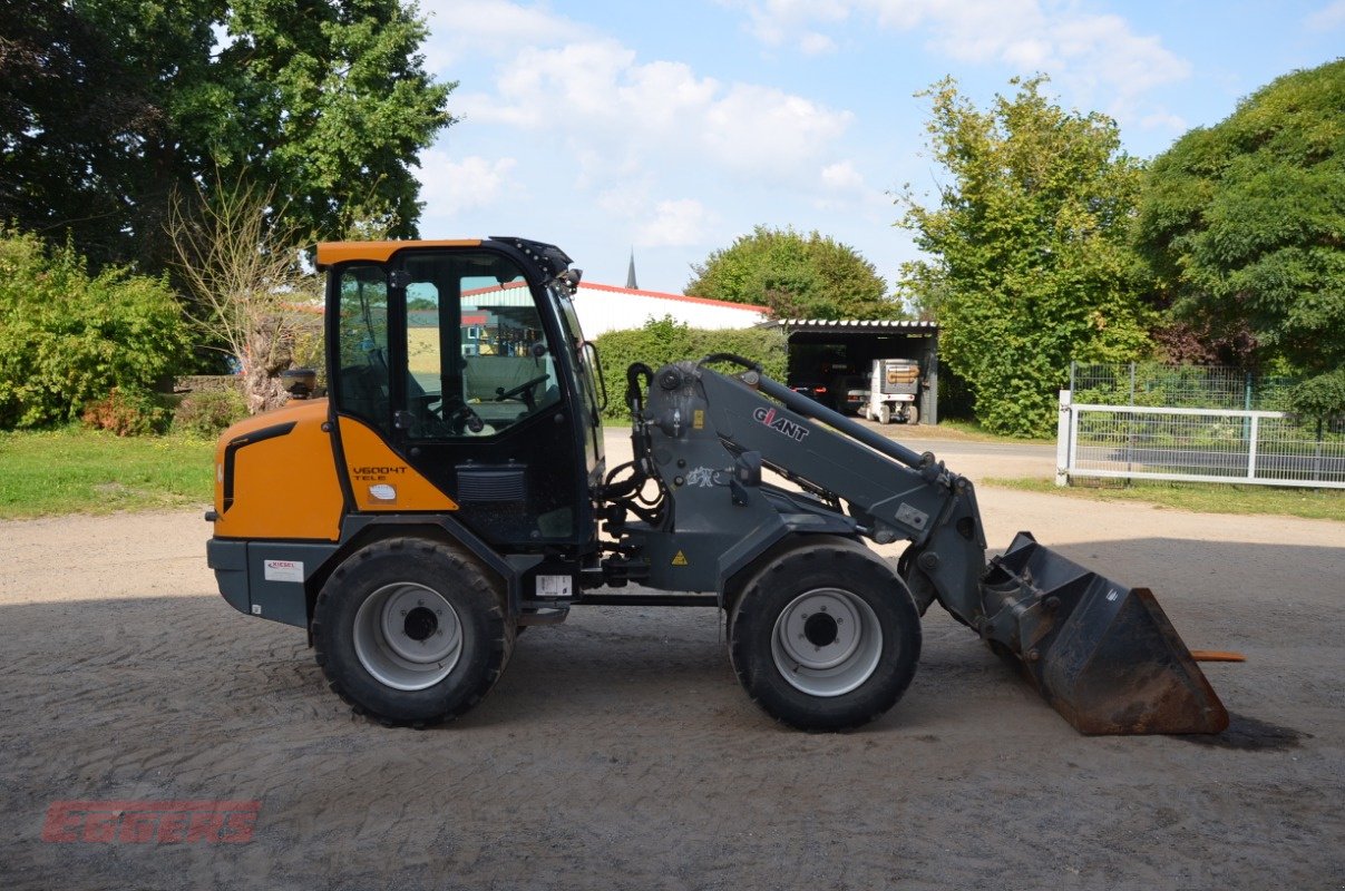 Teleskoplader tip GiANT V6004T, Gebrauchtmaschine in Suhlendorf (Poză 3)