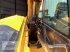 Teleskoplader del tipo JCB 541-70 AGRI, Gebrauchtmaschine In Wildeshausen (Immagine 5)