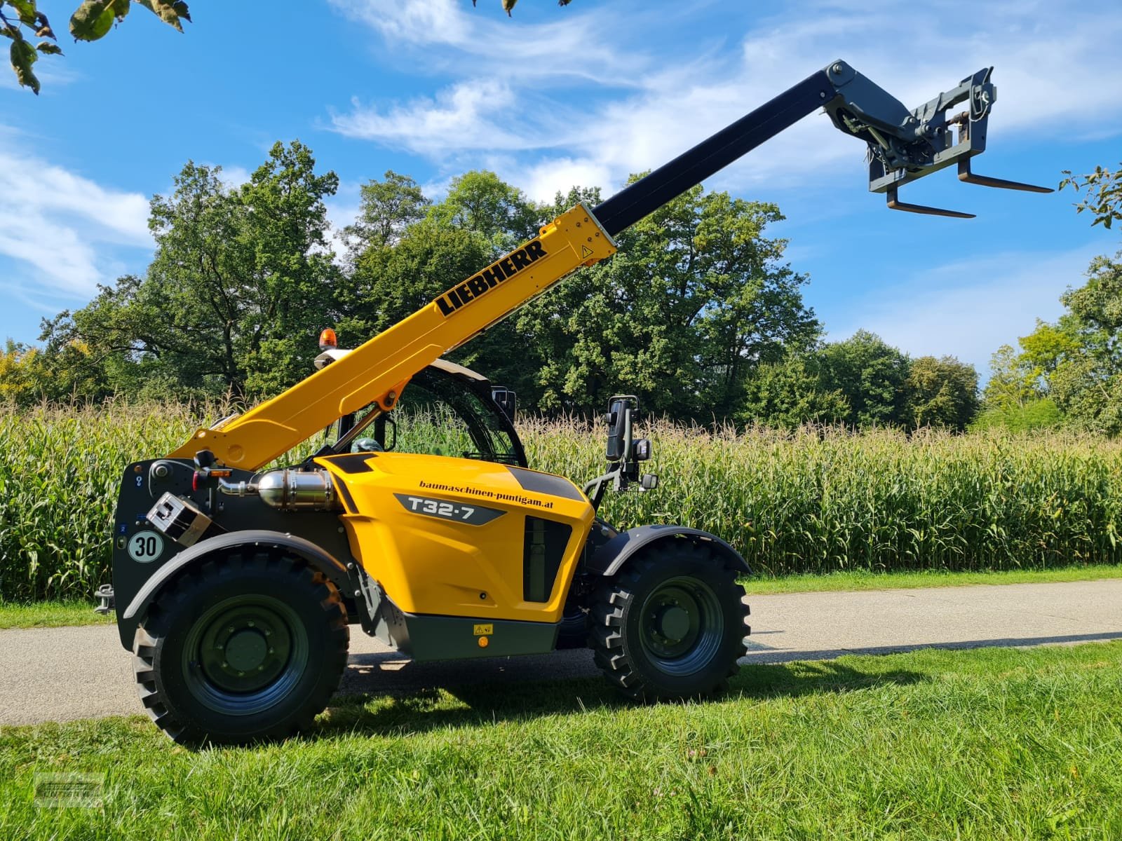 Teleskoplader del tipo Liebherr T 32-7, Neumaschine In Deutsch - Goritz (Immagine 3)