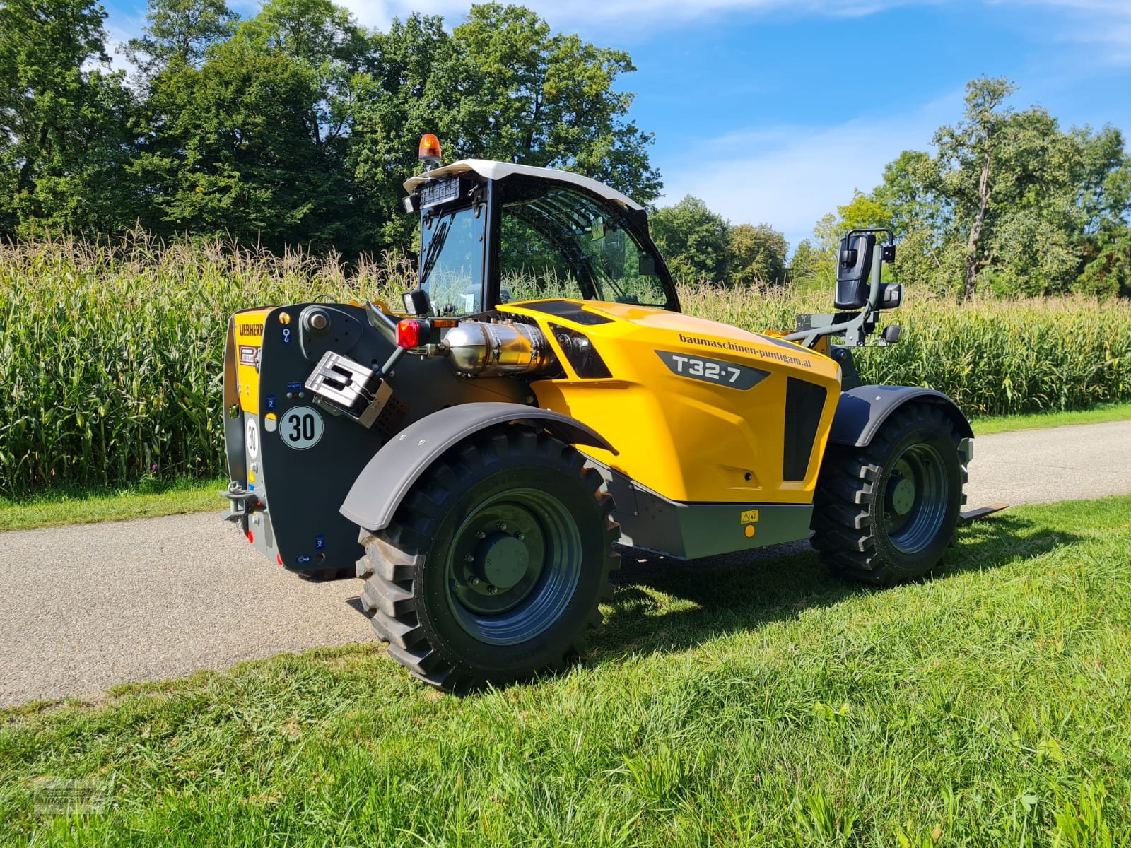 Teleskoplader Türe ait Liebherr T 32-7, Gebrauchtmaschine içinde Deutsch - Goritz (resim 10)