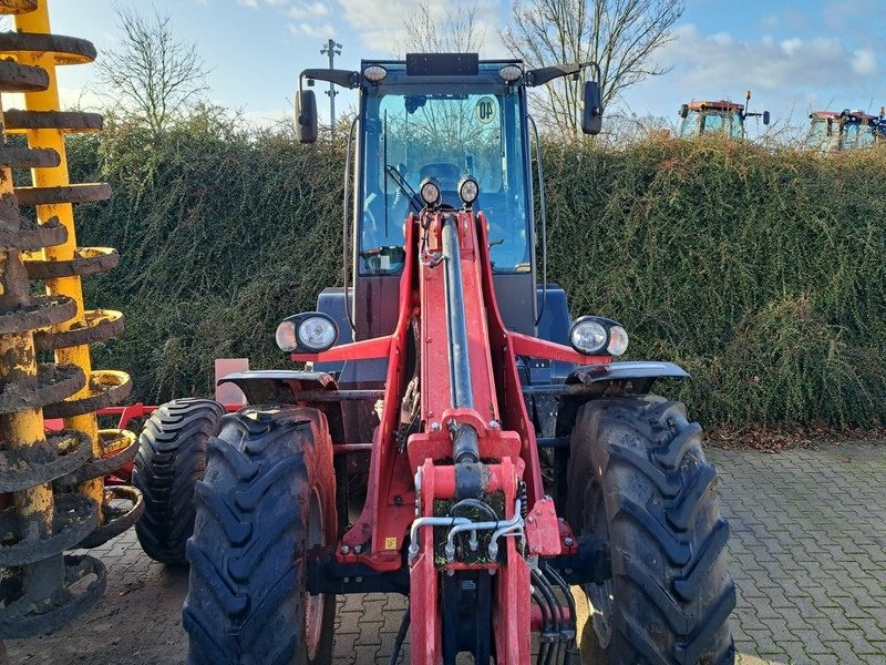 Teleskoplader typu Schäffer 9640 T-2, Vorführmaschine v Rollwitz (Obrázek 5)