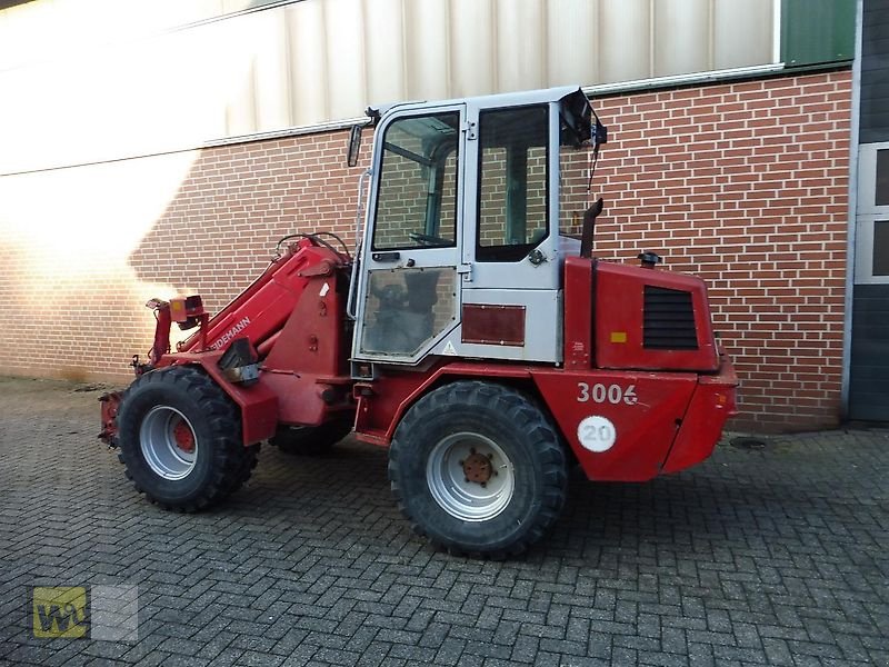 Teleskoplader typu Weidemann  3006, Gebrauchtmaschine w Metelen (Zdjęcie 3)