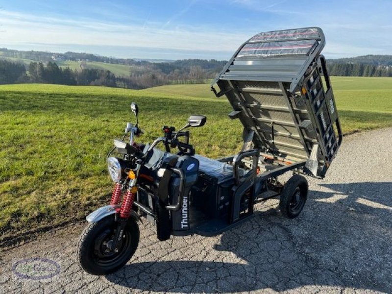 Teleskopstapler du type Sonstige Nero Thunder, Neumaschine en Münzkirchen (Photo 16)