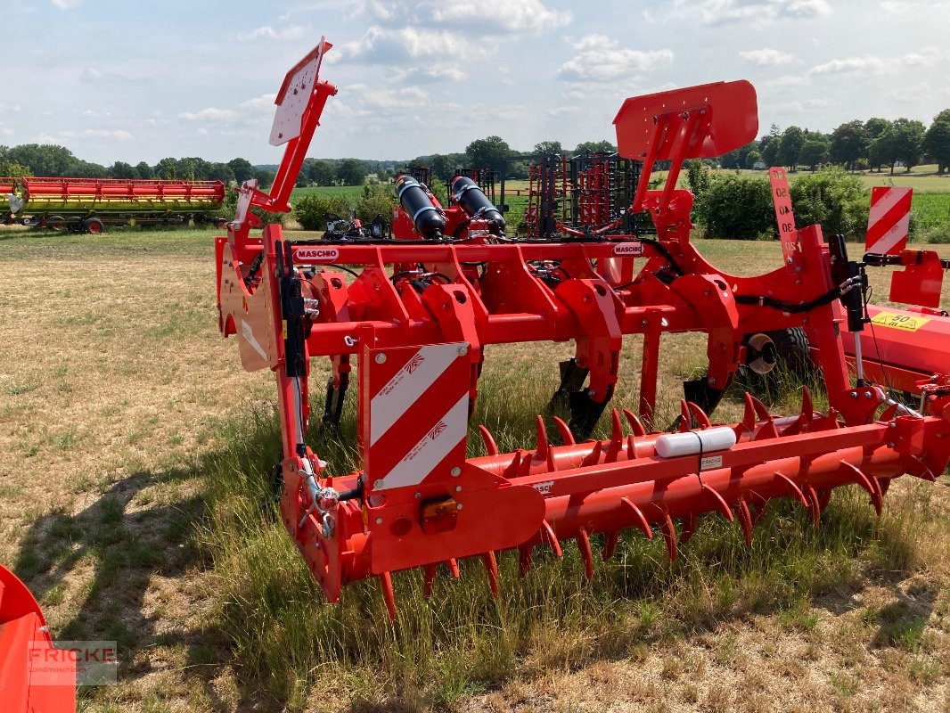 Tiefenlockerer des Typs Maschio Artiglio 300, Neumaschine in Bockel - Gyhum (Bild 6)