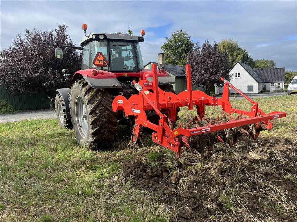 Tiefenlockerer del tipo Maschio Pinnochio, Gebrauchtmaschine en Skive (Imagen 4)