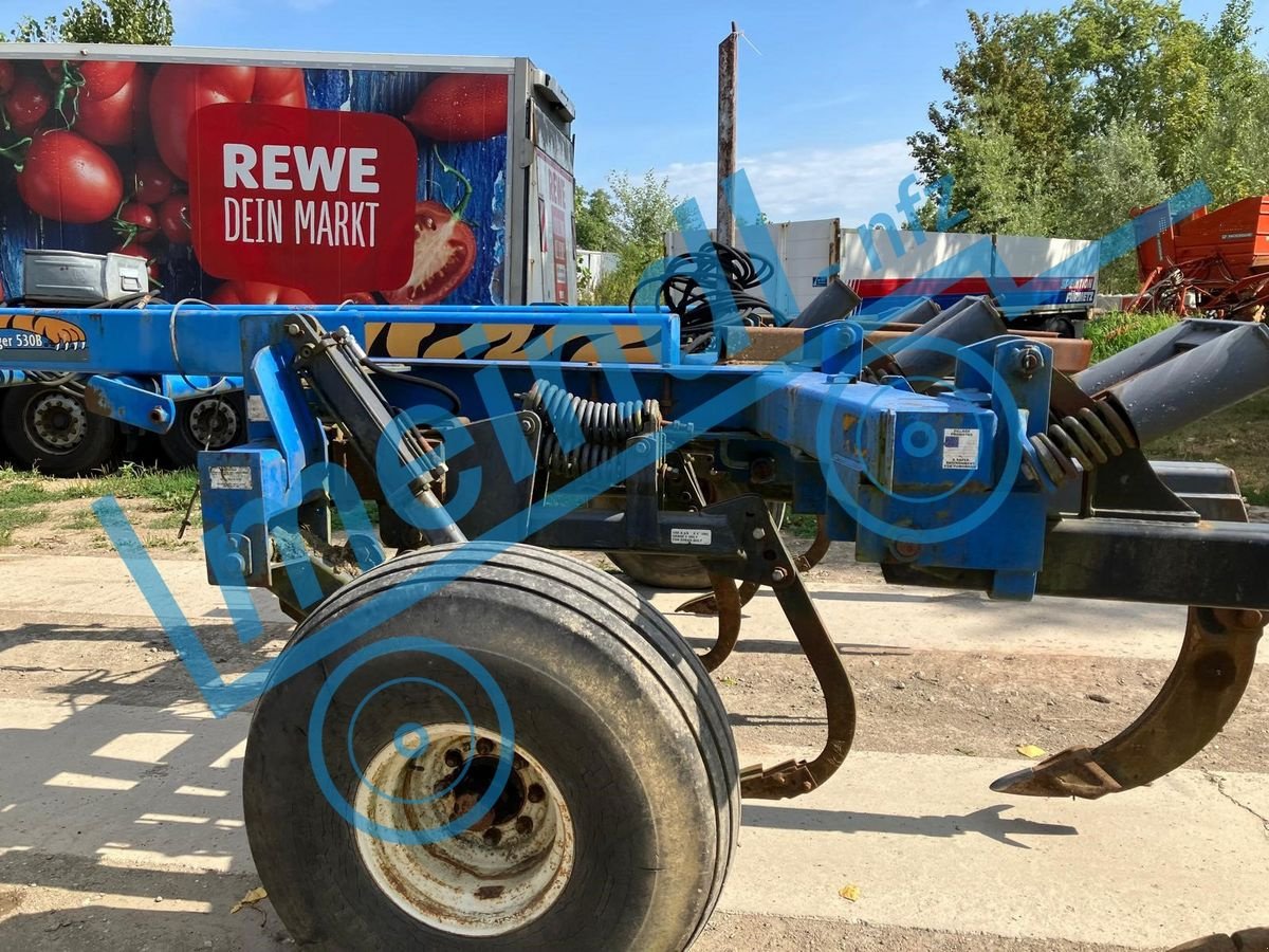 Tiefenlockerer des Typs Sonstige Grubber Tiefenmeissel Tiefengrubber, Gebrauchtmaschine in Eferding (Bild 2)