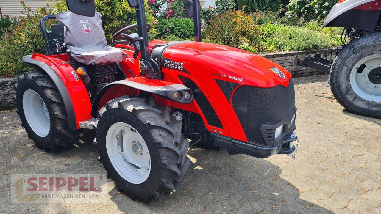 Traktor du type Antonio Carraro TIGRE 3800, Neumaschine en Groß-Umstadt (Photo 1)