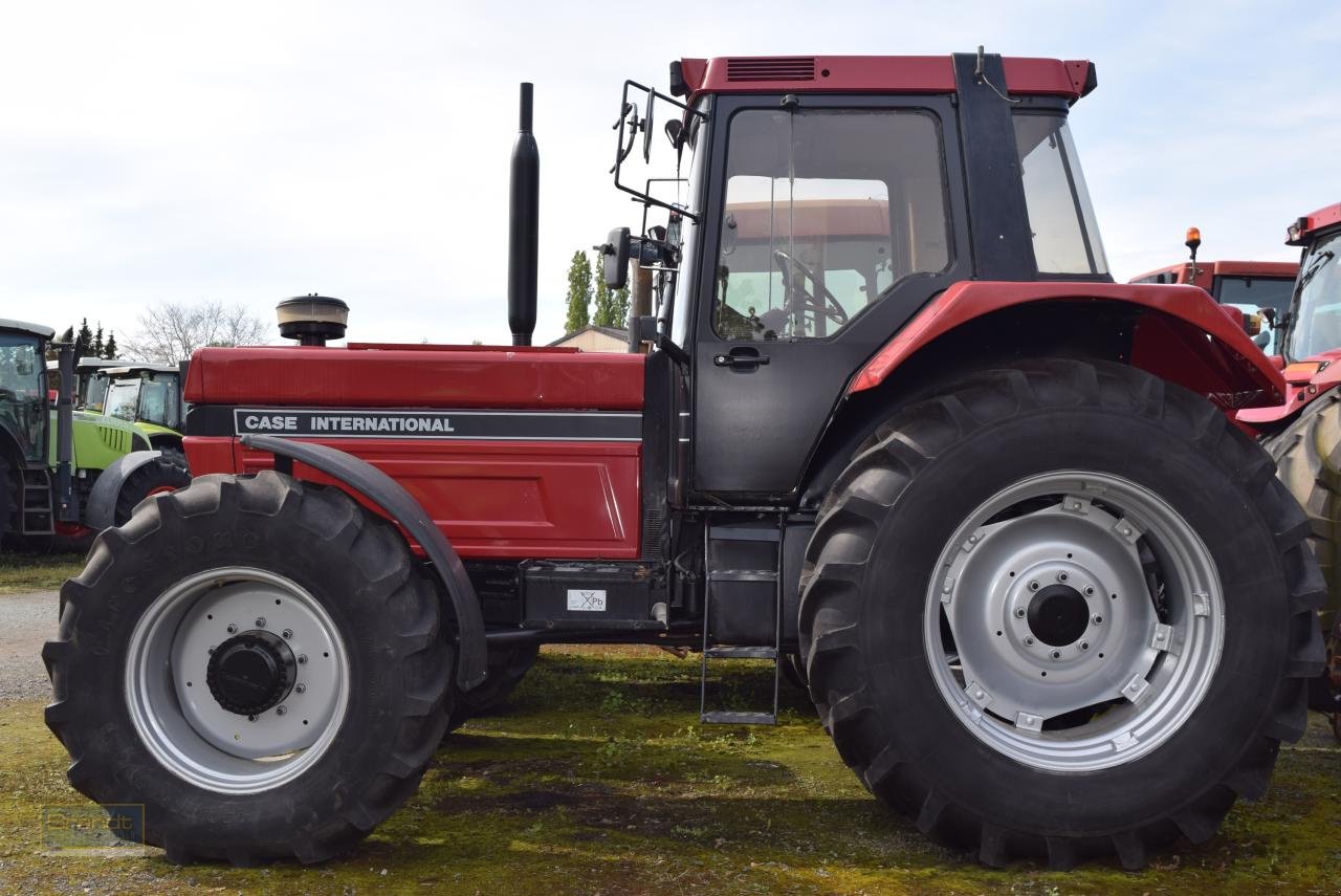 Traktor Türe ait Case IH 1455 XLA, Gebrauchtmaschine içinde Oyten (resim 1)