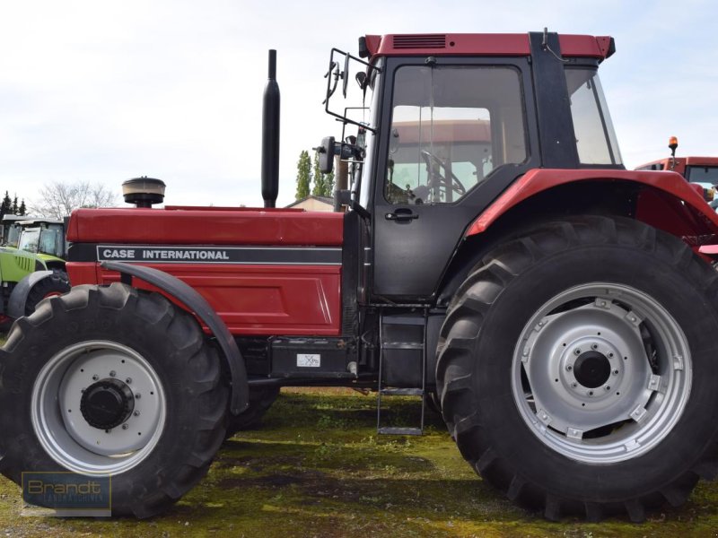 Traktor van het type Case IH 1455 XLA, Gebrauchtmaschine in Oyten