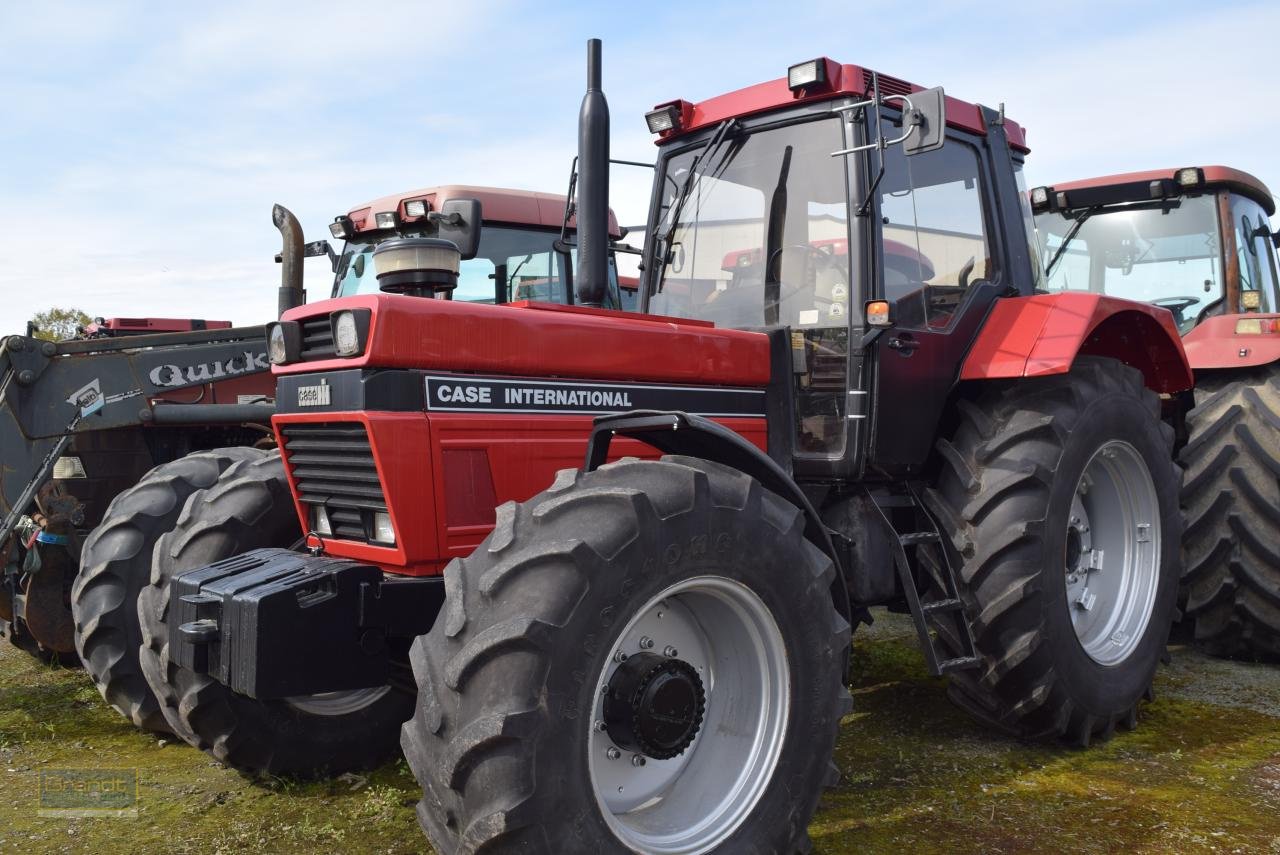 Traktor του τύπου Case IH 1455 XLA, Gebrauchtmaschine σε Oyten (Φωτογραφία 2)