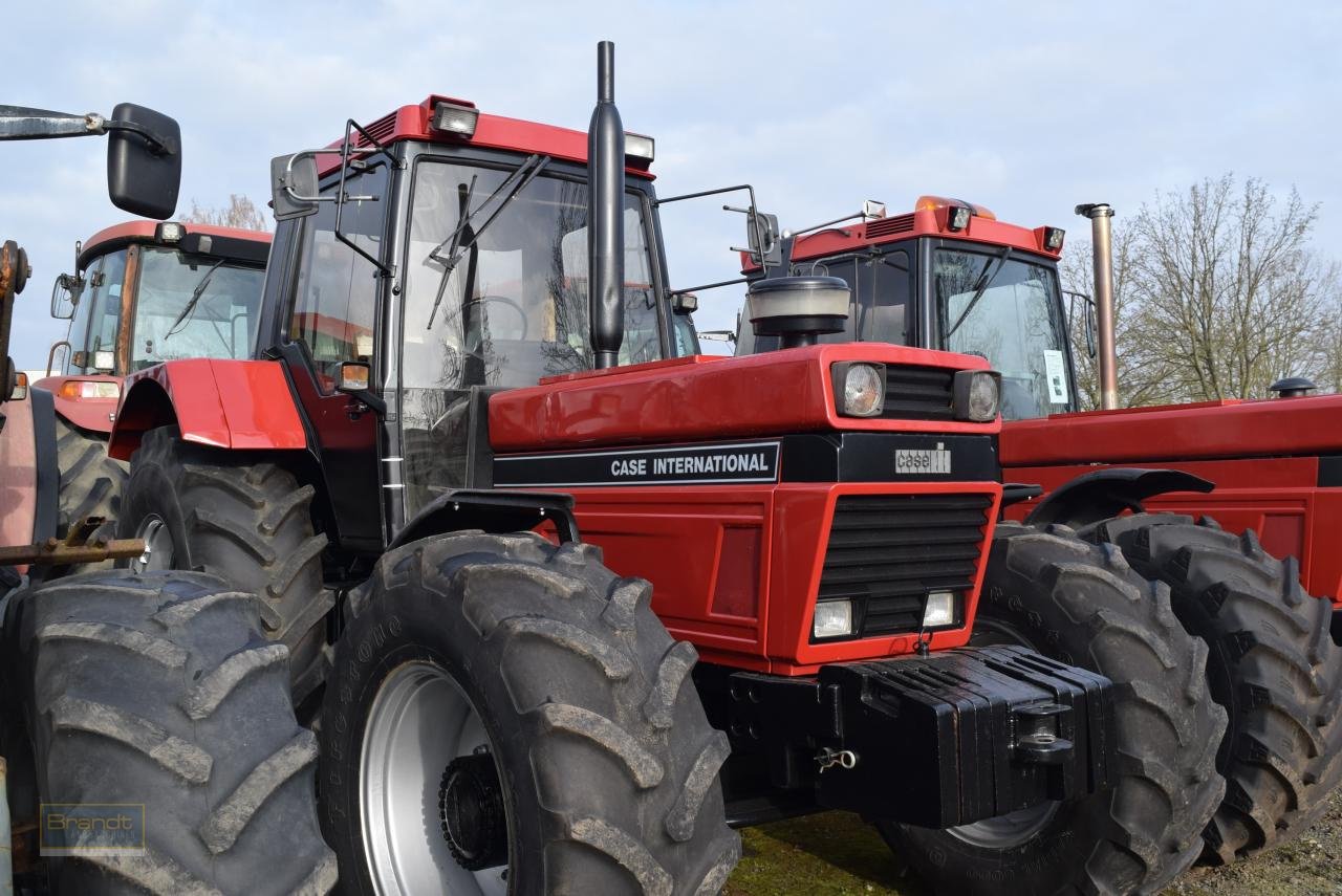 Traktor des Typs Case IH 1455 XLA, Gebrauchtmaschine in Oyten (Bild 3)