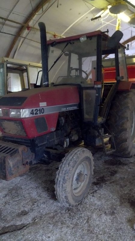 Traktor des Typs Case IH 4210, Gebrauchtmaschine in ENNEZAT (Bild 1)