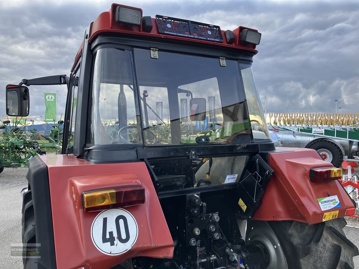 Traktor от тип Case IH 4230, Gebrauchtmaschine в Gampern (Снимка 16)