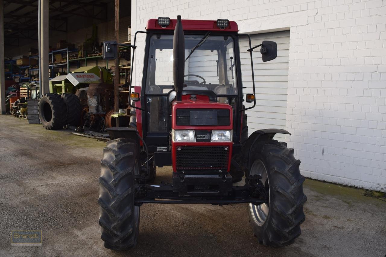 Traktor типа Case IH 840, Gebrauchtmaschine в Oyten (Фотография 5)