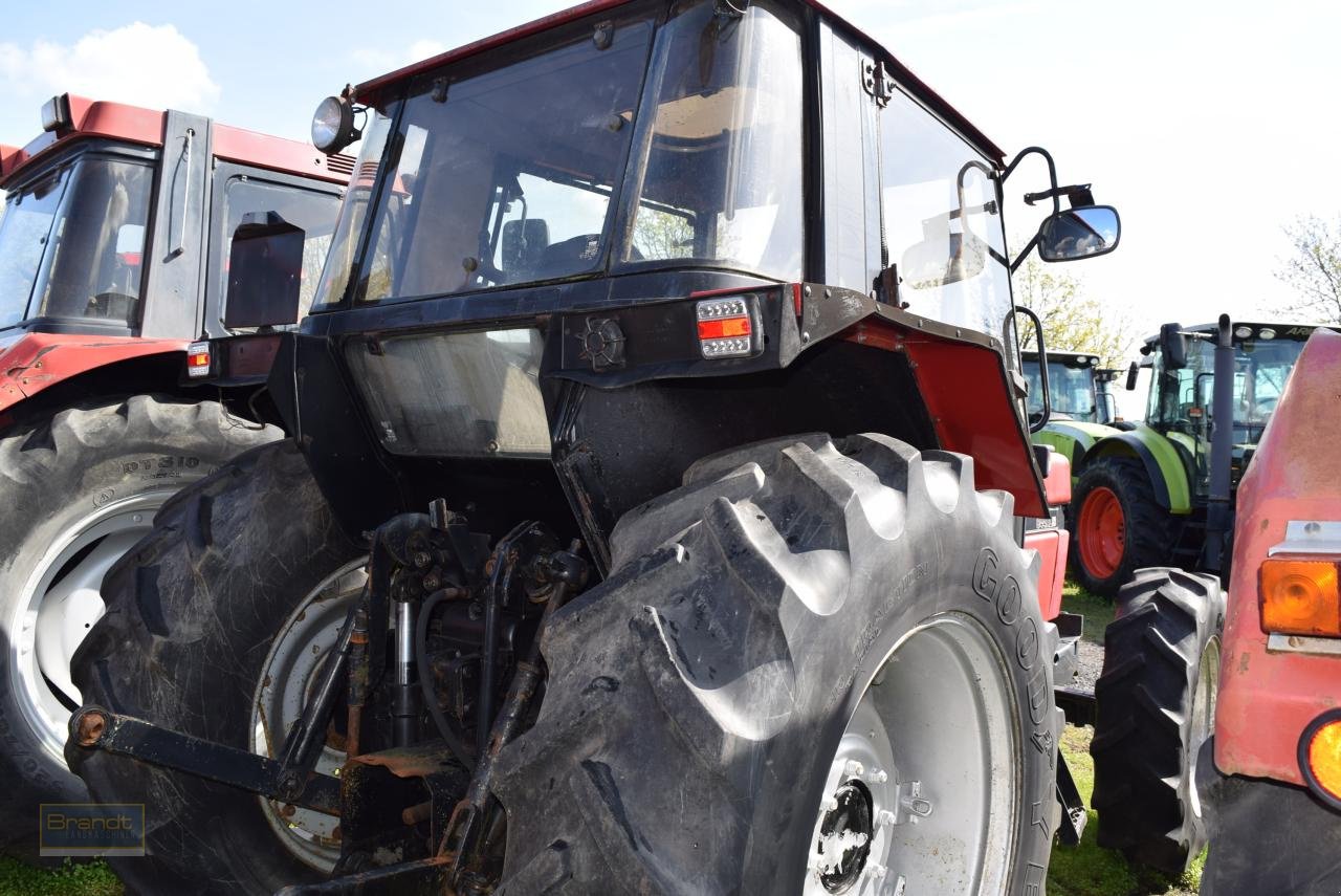 Traktor типа Case IH 844 XL, Gebrauchtmaschine в Oyten (Фотография 4)