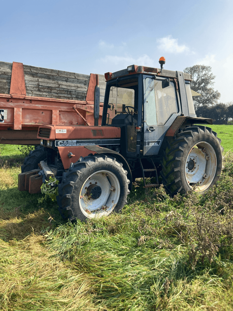 Traktor tip Case IH 856 XL, Gebrauchtmaschine in CINTHEAUX (Poză 1)