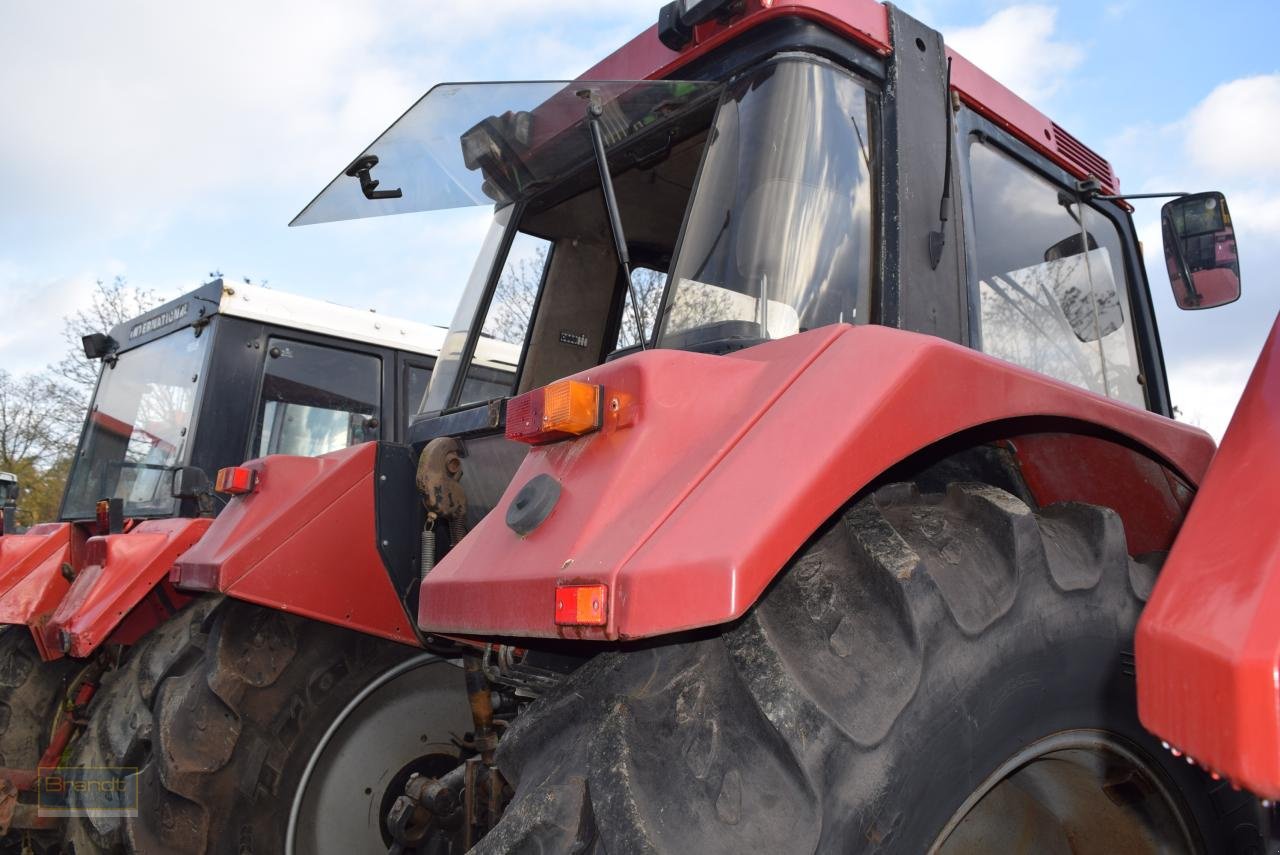 Traktor Türe ait Case IH 956 XL, Gebrauchtmaschine içinde Oyten (resim 3)