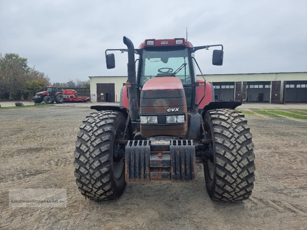 Traktor typu Case IH CVX 150, Gebrauchtmaschine v Burg/Spreewald (Obrázek 5)