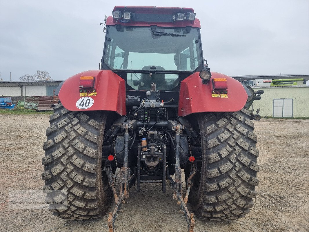 Traktor typu Case IH CVX 150, Gebrauchtmaschine v Burg/Spreewald (Obrázek 11)