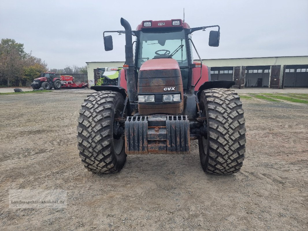 Traktor typu Case IH CVX 150, Gebrauchtmaschine v Burg/Spreewald (Obrázek 22)