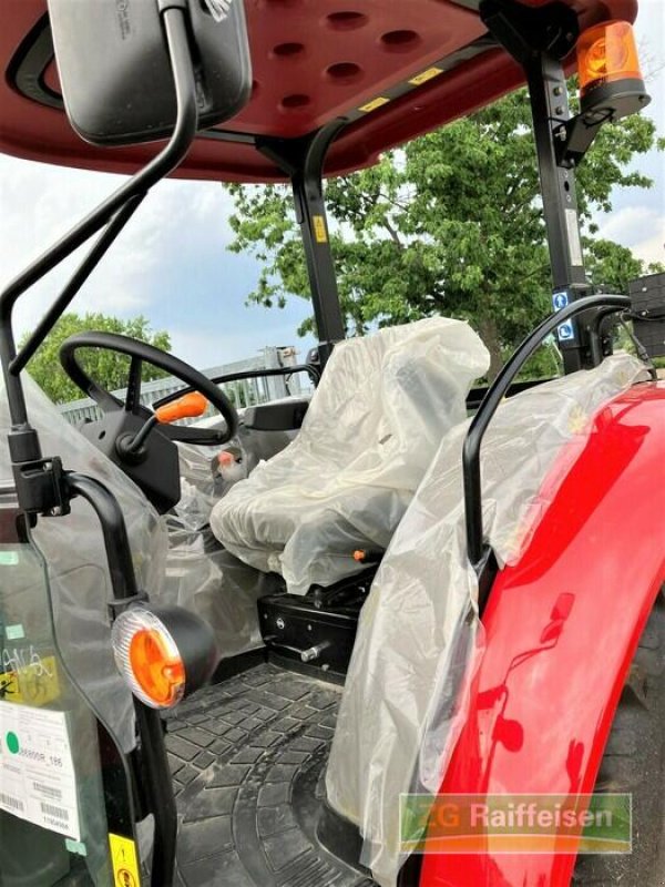 Traktor of the type Case IH Farmall 55A, Neumaschine in Bühl (Picture 11)