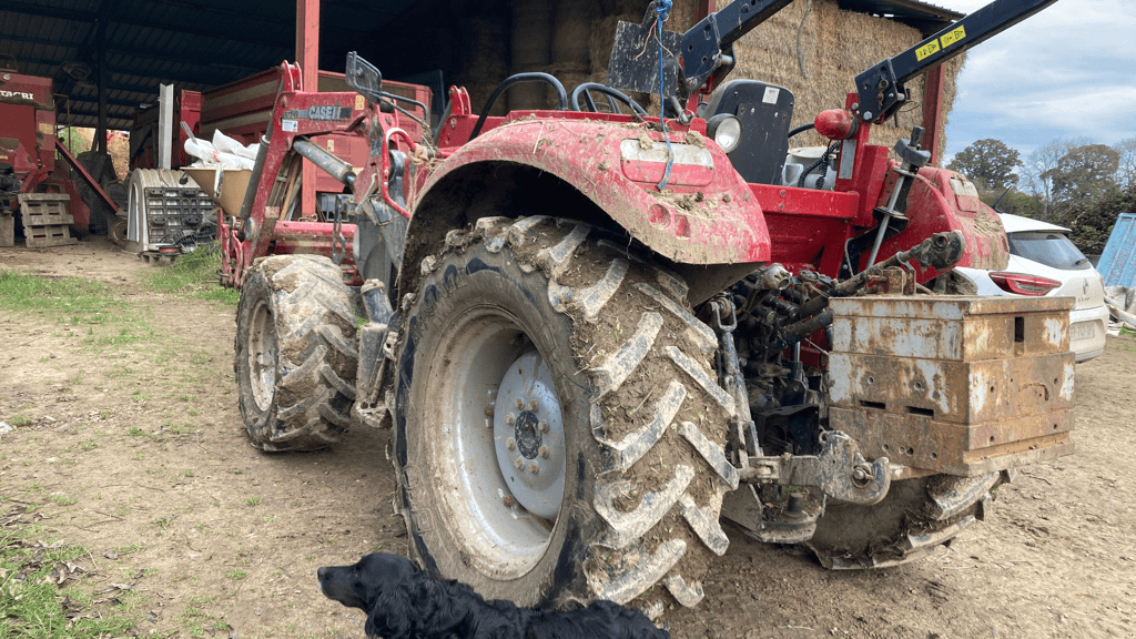 Traktor del tipo Case IH FARMALL 75 C, Gebrauchtmaschine en CINTHEAUX (Imagen 4)