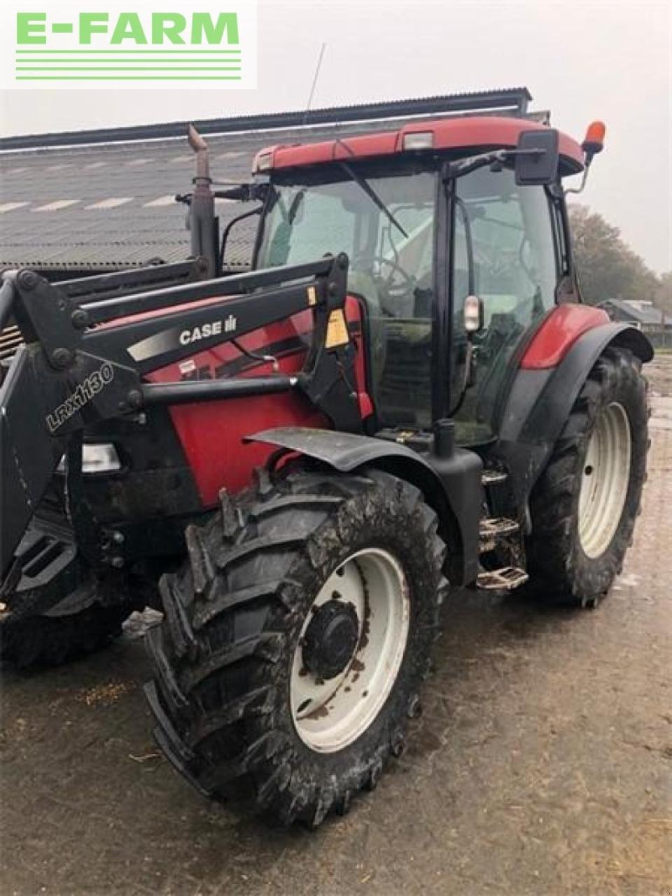 Traktor des Typs Case IH maxxum 115, Gebrauchtmaschine in gg VEGHEL (Bild 1)