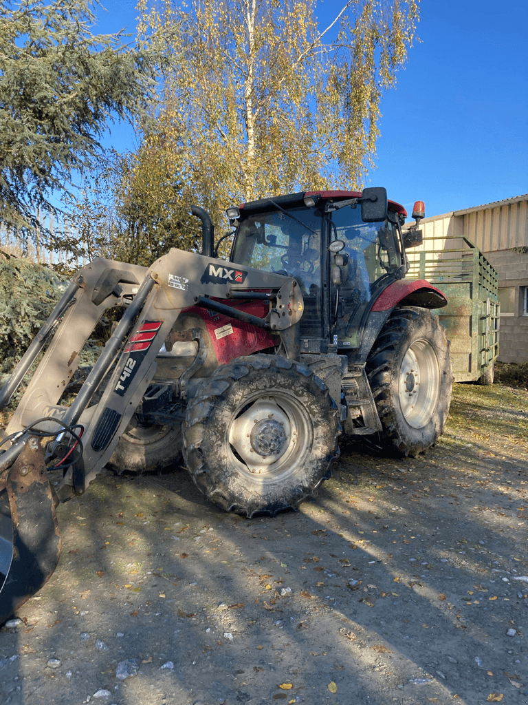 Traktor του τύπου Case IH MAXXUM 120, Gebrauchtmaschine σε TREMEUR (Φωτογραφία 2)