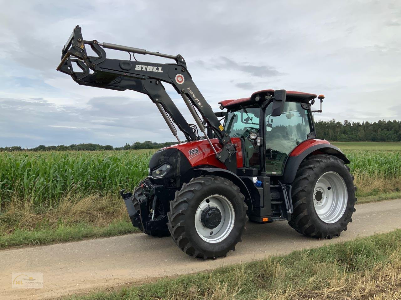 Traktor Türe ait Case IH Maxxum 125 CVX, Gebrauchtmaschine içinde Pfreimd (resim 1)