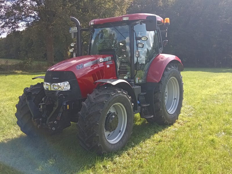 Traktor des Typs Case IH Maxxum 125 MC, Gebrauchtmaschine in Borken (Bild 1)