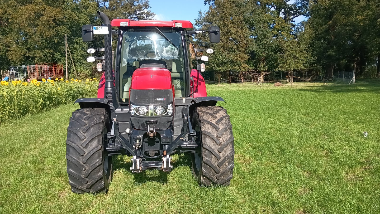 Traktor tip Case IH Maxxum 125 MC, Gebrauchtmaschine in Borken (Poză 8)