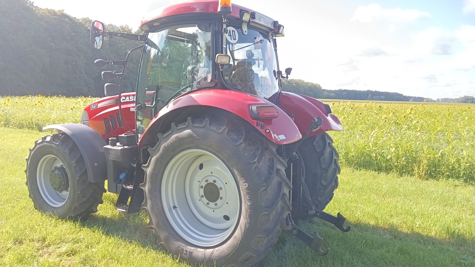 Traktor tip Case IH Maxxum 125 MC, Gebrauchtmaschine in Borken (Poză 11)