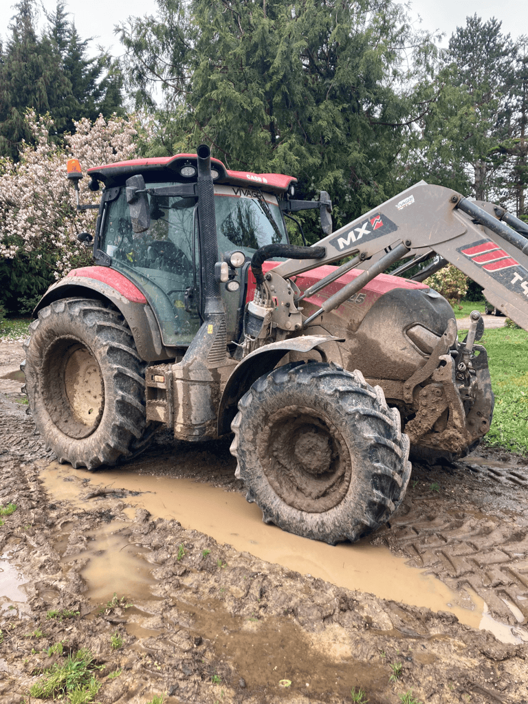 Traktor del tipo Case IH MAXXUM 125, Gebrauchtmaschine en CINTHEAUX (Imagen 1)