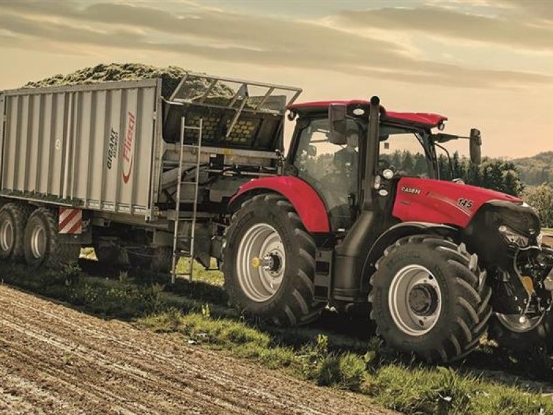 Traktor of the type Case IH Maxxum 145 CVX, Gebrauchtmaschine in Horsens (Picture 1)