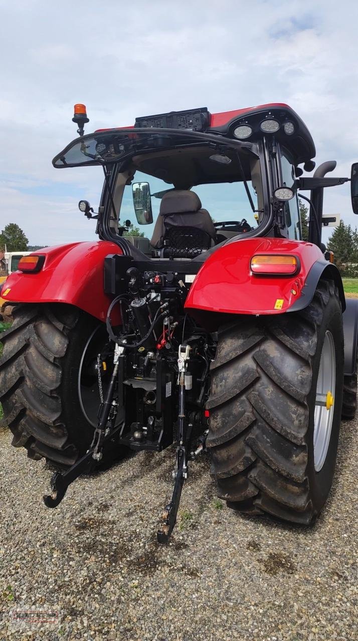 Traktor of the type Case IH Maxxum 150 CVX, Gebrauchtmaschine in Mengen (Picture 10)