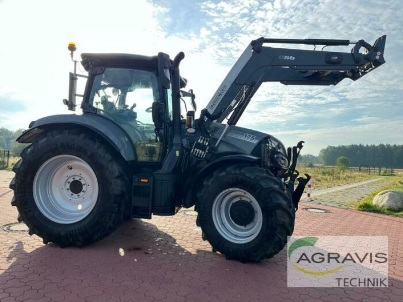 Traktor a típus Case IH MAXXUM 150, Gebrauchtmaschine ekkor: Schneverdingen (Kép 3)