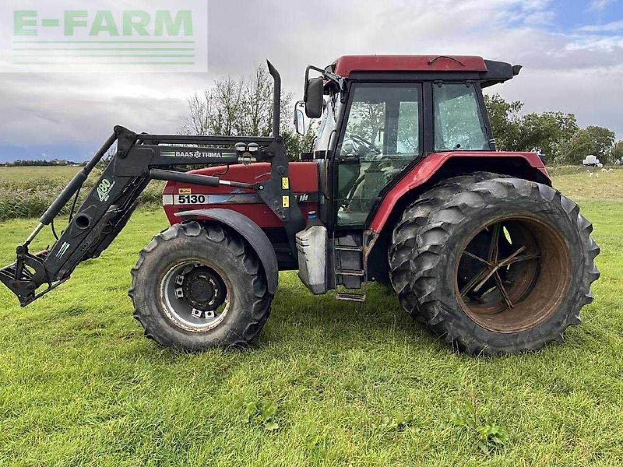 Traktor des Typs Case IH maxxum 5130 pro, Gebrauchtmaschine in LORUP (Bild 4)