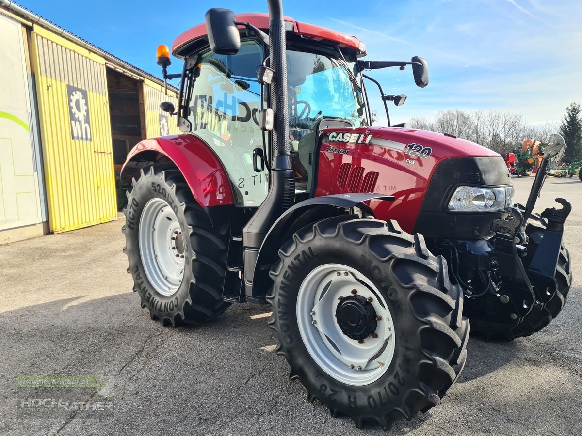 Traktor du type Case IH Maxxum CVX 120 Profi, Gebrauchtmaschine en Kronstorf (Photo 1)