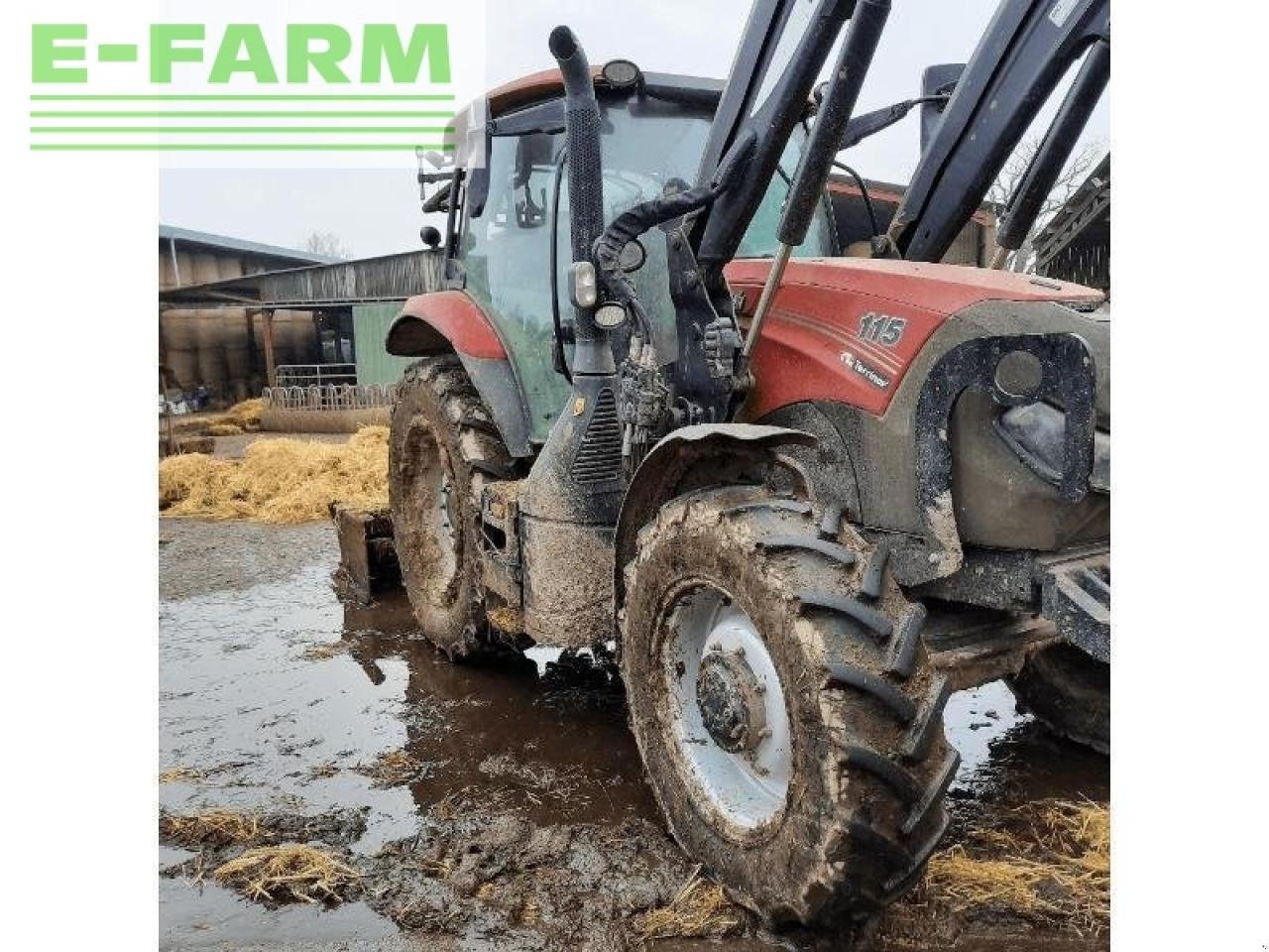 Traktor van het type Case IH maxxum115, Gebrauchtmaschine in HERIC (Foto 2)