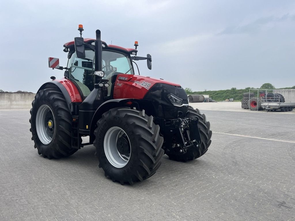 Traktor typu Case IH OPTUM 250 CVX DRIVE, Gebrauchtmaschine v Hapert (Obrázok 4)