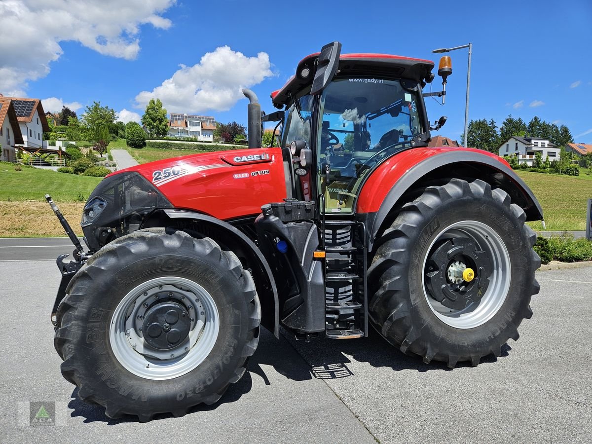 Traktor typu Case IH Optum 250 CVXDrive, Gebrauchtmaschine v Markt Hartmannsdorf (Obrázek 1)