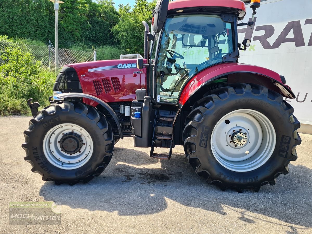 Traktor Türe ait Case IH Puma 145 CVX, Gebrauchtmaschine içinde Kronstorf (resim 3)