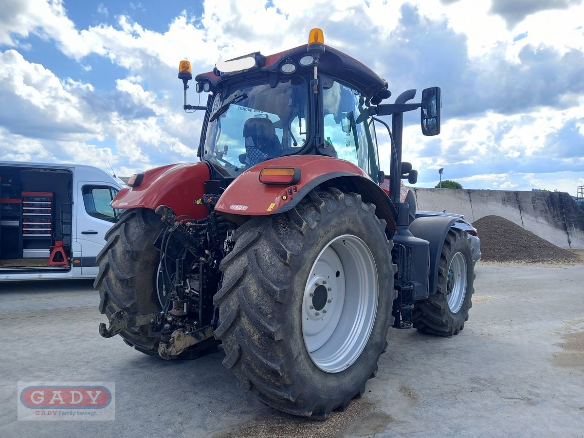 Traktor des Typs Case IH Puma 150 CVX, Gebrauchtmaschine in Lebring (Bild 2)