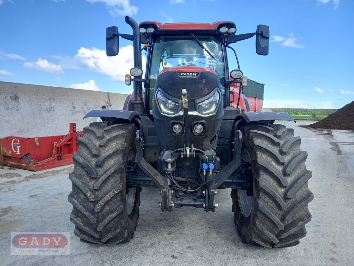 Traktor Türe ait Case IH Puma 150 CVX, Gebrauchtmaschine içinde Lebring (resim 3)