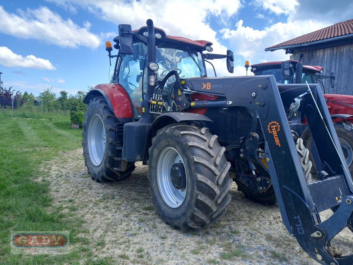 Traktor of the type Case IH Puma 150 CVX, Gebrauchtmaschine in Lebring (Picture 3)