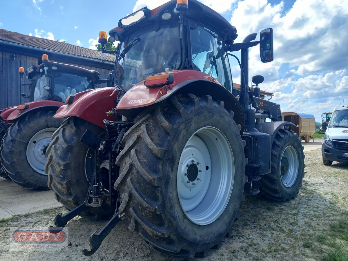 Traktor typu Case IH Puma 150 CVX, Gebrauchtmaschine w Lebring (Zdjęcie 2)